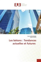 Dalila BENAMARA, Rebih ZAITRI - Les bétons : Tendances actuelles et futures