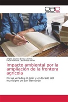Karyn Nathalia Castañeda Ibáñez, Ángela Dayana Saray Lesmes - Impacto ambiental por la ampliación de la frontera agrícola
