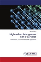 Yasmin Saima - High-valent Manganese nano-particles