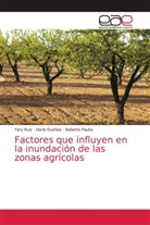 Dario Dueñas, Roberto Pauta, Yary Ruiz - Factores que influyen en la inundación de las zonas agrícolas