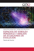 Santiago César Rojas Romero, Yolanda Silvia Santiago Ayala - ESPACIOS DE SOBOLEV PERIÓDICO Y ANÁLISIS DE ECUACIONES DE EVOLUCIÓN