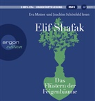 Elif Shafak, Eva Mattes, Joachim Schönfeld - Das Flüstern der Feigenbäume, 2 Audio-CD, 2 MP3 (Audio book)