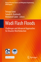 Same A Kantoush, Sameh A Kantoush, Sameh A. Kantoush, Mohamed Saber, Tetsuya Sumi - Wadi Flash Floods
