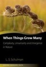 Lawrence Schulman, Lawrence (Professor of Physics Schulman - When Things Grow Many