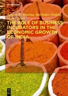 Manoj Joshi, Apoorv Sharma, Apoorv R Sharma, Apoorv R. Sharma, Balvinde Shukla, Balvinder Shukla - The Role of Business Incubators in the Economic Growth of India