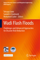 Same A Kantoush, Sameh A Kantoush, Sameh A. Kantoush, Mohamed Saber, Tetsuya Sumi - Wadi Flash Floods