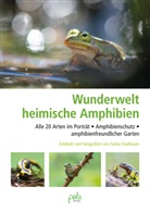 Farina Graßmann, Farina Graßmann - Wunderwelt heimische Amphibien
