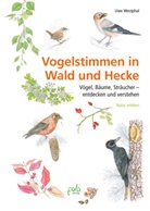 Uwe Westphal, Heidi Janicek - Vogelstimmen in Wald und Hecke