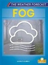 Douglas Bender - Fog