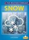 Douglas Bender - Snow