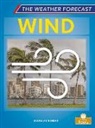 Douglas Bender - Wind