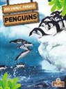 Amy Culliford - Penguins