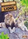 Amy Culliford - LIONS