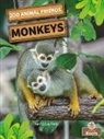 Amy Culliford - MONKEYS