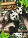 Amy Culliford - Pandas