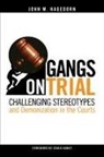 John M Hagedorn, John M. Hagedorn, John M./ Haney Hagedorn - Gangs on Trial