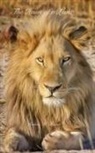 Ronna M Bacon, Ronna M. Bacon, Ronna M Bacon - The Heart of a Lion