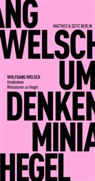 Wolfgang Welsch - Umdenken