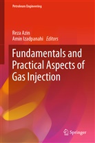 Rez Azin, Reza Azin, Izadpanahi, Izadpanahi, Amin Izadpanahi - Fundamentals and Practical Aspects of Gas Injection