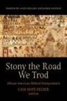Cain Hope Felder - Stony the Road We Trod