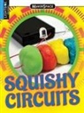 Kristin Fontichiaro, Fontichiaro Kristin - Squishy Circuits