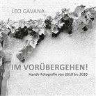 Leo Cavana - Im Vorübergehen