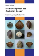 Jürgen Höflinger - Die Brachiopoden des deutschen Dogger
