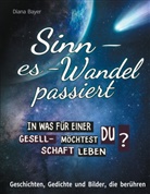 Diana Bayer - Sinn - es - Wandel passiert. In was für einer Gesellschaft möchtest du leben?