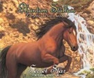 Terri Farley - Phantom Stallion, 19: Secret Star (Audio book)