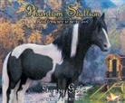 Terri Farley - Phantom Stallion, 23: Gypsy Gold (Audio book)