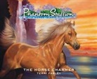 Terri Farley - Phantom Stallion, Wild Horse Island, 25: The Horse Charmer (Audio book)
