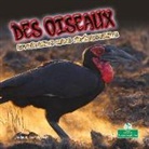 Julie K Lundgren, Julie K. Lundgren - Des Oiseaux Effrayants Mais Intéressants (Creepy But Cool Birds)