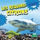 Julie K Lundgren, Julie K. Lundgren - Les Requins-Citrons (Lemon Sharks)