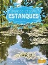 Douglas Bender - Estanques (Ponds)