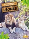 Amy Culliford - Leones (Lions)