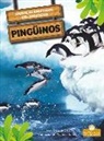 Amy Culliford - Pingüinos (Penguins)