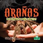 Julie K Lundgren, Julie K. Lundgren - Arañas Espeluznantes Pero Geniales (Creepy But Cool Spiders)