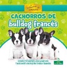 David Armentrout, Patricia Armentrout - Cachorros de Bulldog Francés (French Bulldog Puppies)