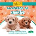David Armentrout, Patricia Armentrout - Cachorros de Caniche (Poodle Puppies)