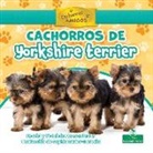 David Armentrout, Patricia Armentrout - Cachorros de Yorkshire Terrier (Yorkshire Terrier Puppies)