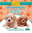 David Armentrout, Patricia Armentrout - Cachorros de Caniche (Poodle Puppies)