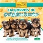 David Armentrout, Patricia Armentrout - Cachorros de Yorkshire Terrier (Yorkshire Terrier Puppies)