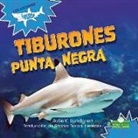 Julie K Lundgren, Julie K. Lundgren - Tiburones Punta Negra (Blacktip Reef Sharks)