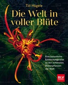 Till Hägele - Die Welt in voller Blüte: Eine botanische Entdeckungsreise zu den schönsten Blütenpflanzen der Welt