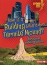 Walt Brody - How Is a Building Like a Termite Mound?
