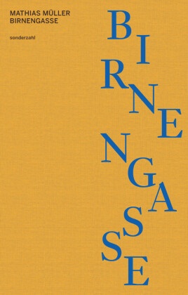 Mathias Müller - Birnengasse