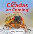 Doug Wechsler - The Cicadas Are Coming!