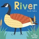 Sarah Dellow - Now you See It! River