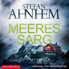 Stefan Ahnhem, David Nathan - Meeressarg (Ein Fabian-Risk-Krimi 6), 2 Audio-CD, 2 MP3 (Hörbuch)