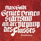Max Goldt, Max Goldt - Genieß deinen Starrsinn an der Biegung des Flusses, 2 Audio-CD (Hörbuch)